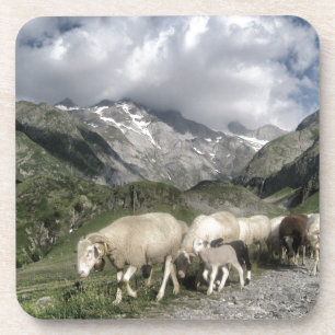 pyrenees landscape coaster