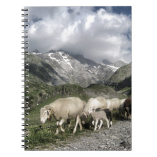 pyrenees landscape notebook