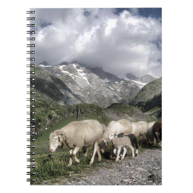 pyrenees landscape notebook (Front)