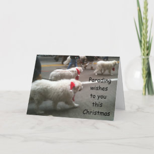 PYRENEES ON PARADE CHRISTMAS CARD