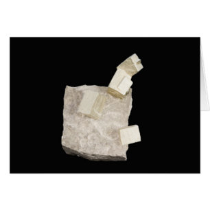 Pyrite Crystals in Shale