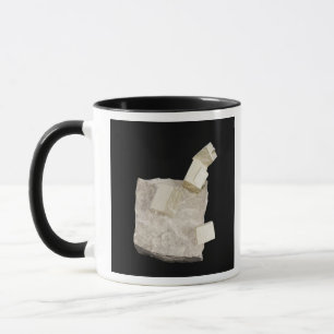 Pyrite Crystals in Shale Mug