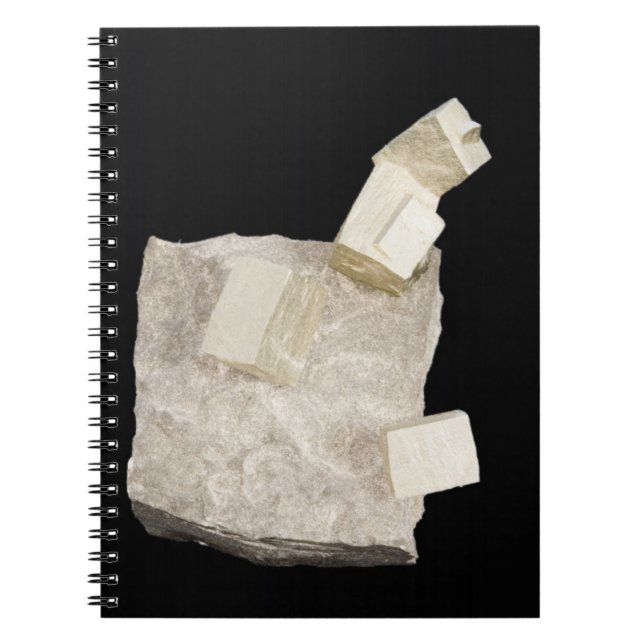 Pyrite Crystals in Shale Notebook (Front)