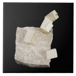 Pyrite Crystals in Shale Tile