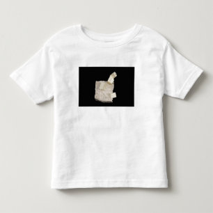 Pyrite Crystals in Shale Toddler T-shirt