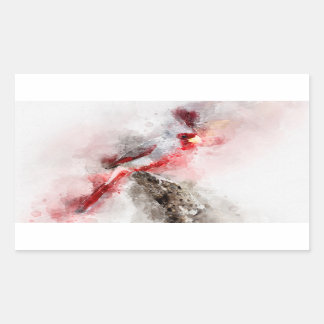 Pyrrhuloxia water colour sticker