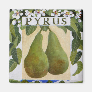 Pyrus Magnet