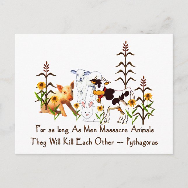 Pythagoras Vegetarian quote Postcard (Front)