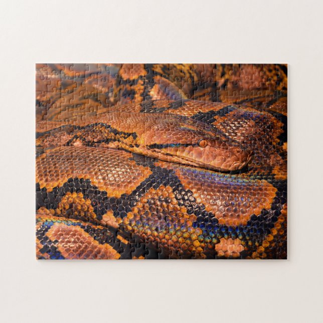 Python Boa Snake Jigsaw Puzzle (Horizontal)