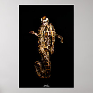 Python by Johannes Stötter Poster