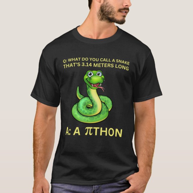Python Pithon Pi Day Mathematic Math Teacher Women T-Shirt (Front)