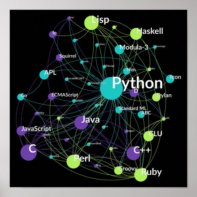 Python Programming Language Influence Network Poster (Front)