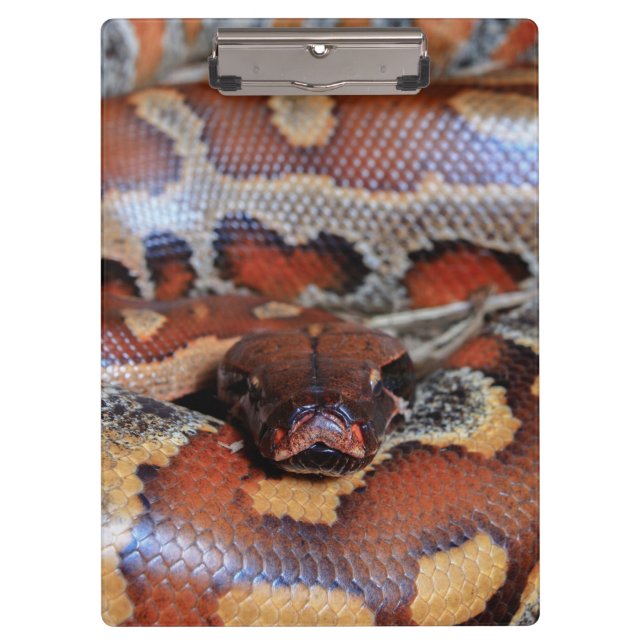Python Snake Clipboard (Front)