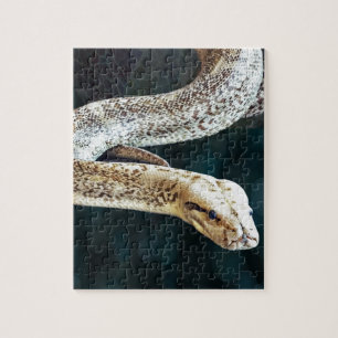 Python Snake Jigsaw Puzzle