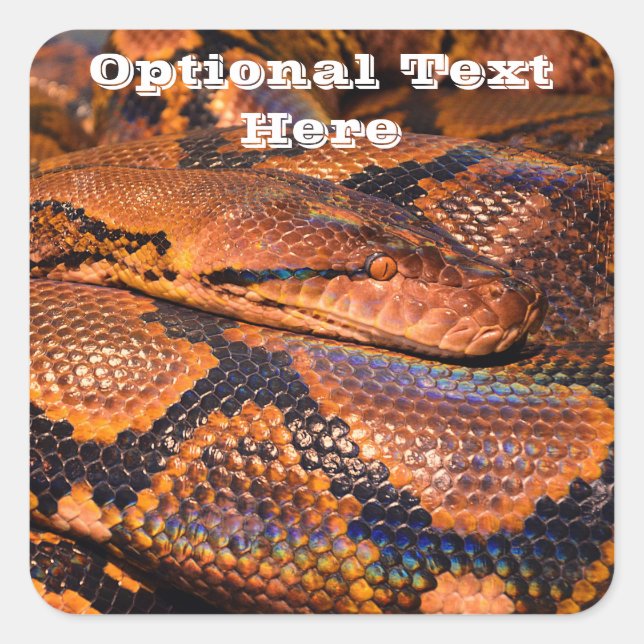 Python Snake Square Sticker (Front)