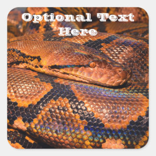 Python Snake Square Sticker