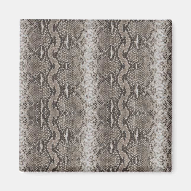 Python Snakeskin Print Magnet (Front)