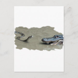 Python vs Alligator Postcard
