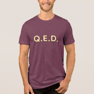 Q.E.D. Miami City Tri-Blend Shirt