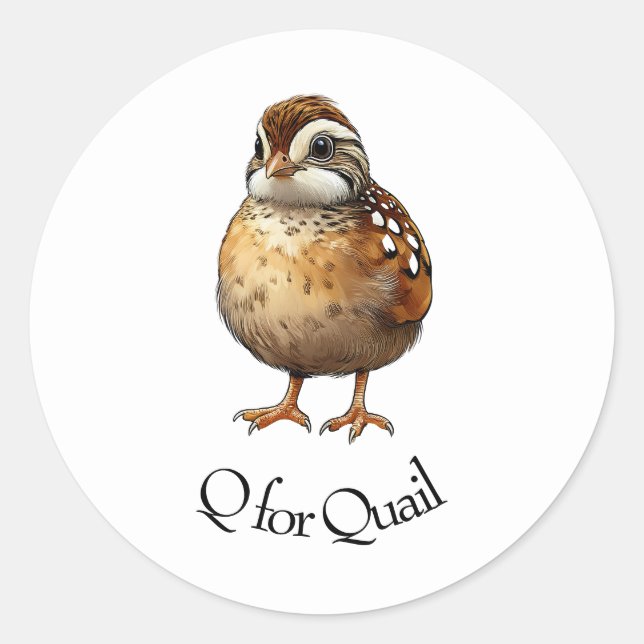 Q for Quail Classic Round Sticker (Front)