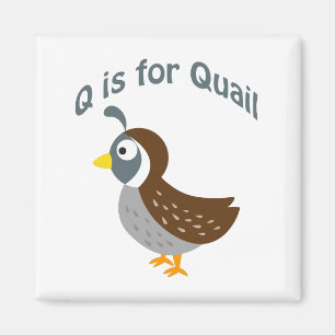 Q is for Quail Magnet