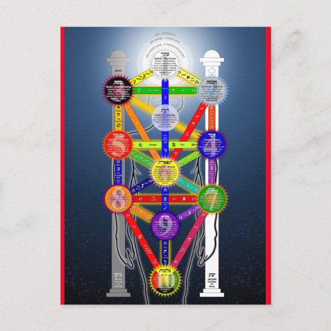 Qabalistic Tree of Life Diagram Chart Kabbalah  Postcard (Front)