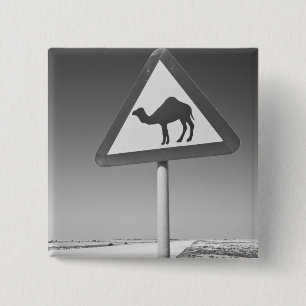 Qatar, Al Zubarah. Camel Crossing Sign-Road to 2 Inch Square Button