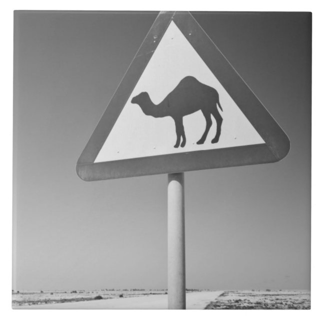 Qatar, Al Zubarah. Camel Crossing Sign-Road to Tile (Front)