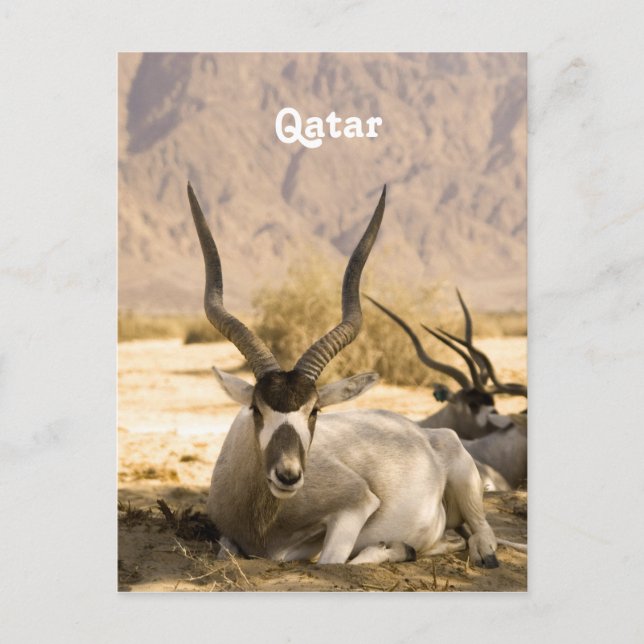 Qatar Postcard (Front)