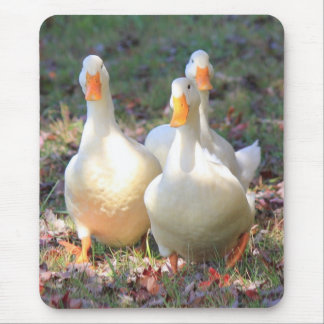 Quack attack mouse pad