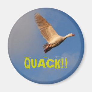 QUACK!! MAGNET