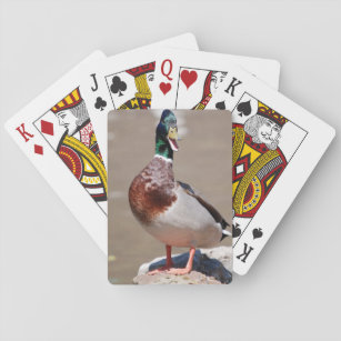 Quacking Mallard Duck Playing Cards