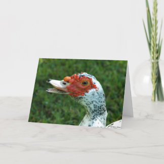 Quackity Quack Don't Talk Back Card