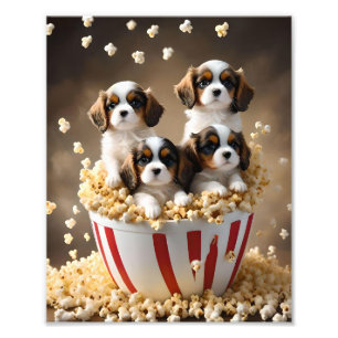 Quads Cavalier Spaniel Puppies In The Popcorn, Photo Print
