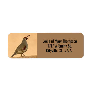 Quail Art