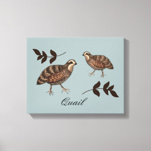 Quail Art Canvas Print