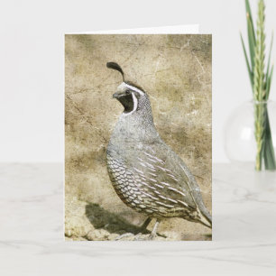 Quail, birthday card
