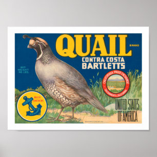 Quail Brand Contra Costa Bartletts Poster