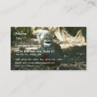 Quail Business Card