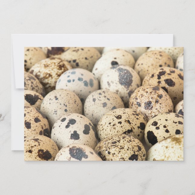 Quail Eggs (Front)