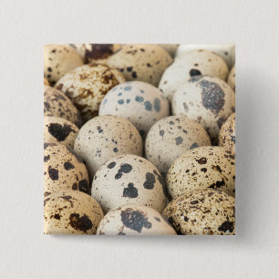 Quail Eggs 2 Inch Square Button