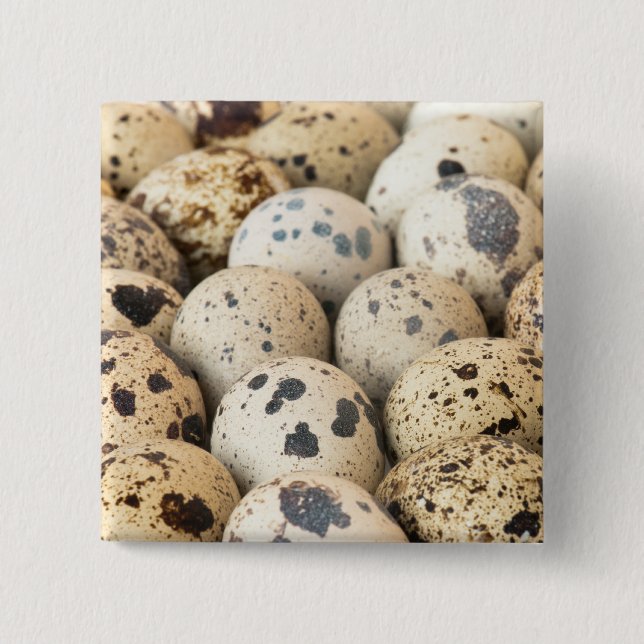 Quail Eggs 2 Inch Square Button (Front)