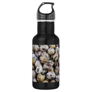 Quail Eggs 532 Ml Water Bottle