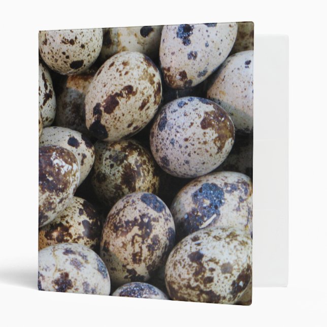 Quail Eggs Binder (Front/Inside)