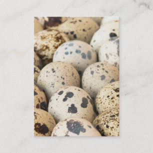 Quail Eggs Business Card