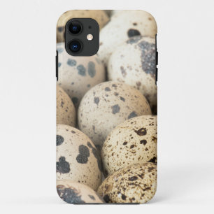 Quail Eggs iPhone 11 Case