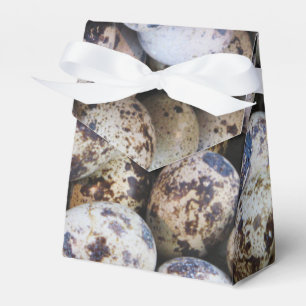 Quail Eggs Favor Box