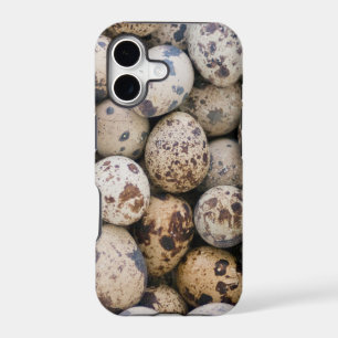 Quail Eggs, Huaraz, Cordillera Blanca, Ancash