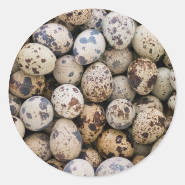 Quail Eggs, Huaraz, Cordillera Blanca, Ancash Classic Round Sticker (Front)
