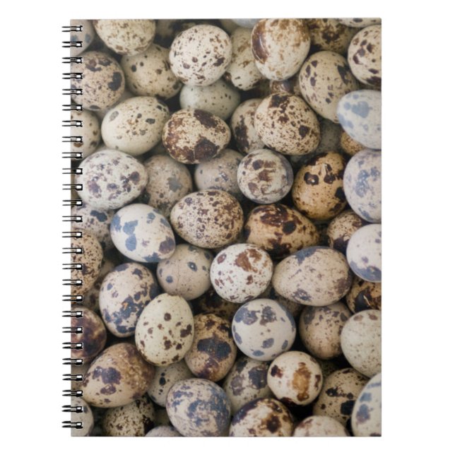 Quail Eggs, Huaraz, Cordillera Blanca, Ancash Notebook (Front)